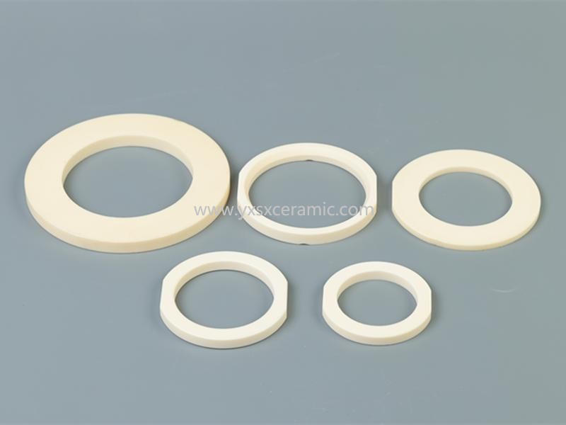 신싱 세라믹 고정밀 내식성 밸브 펌프 99% 알루미나 세라믹 씰링 링 - Yixing Shenxing